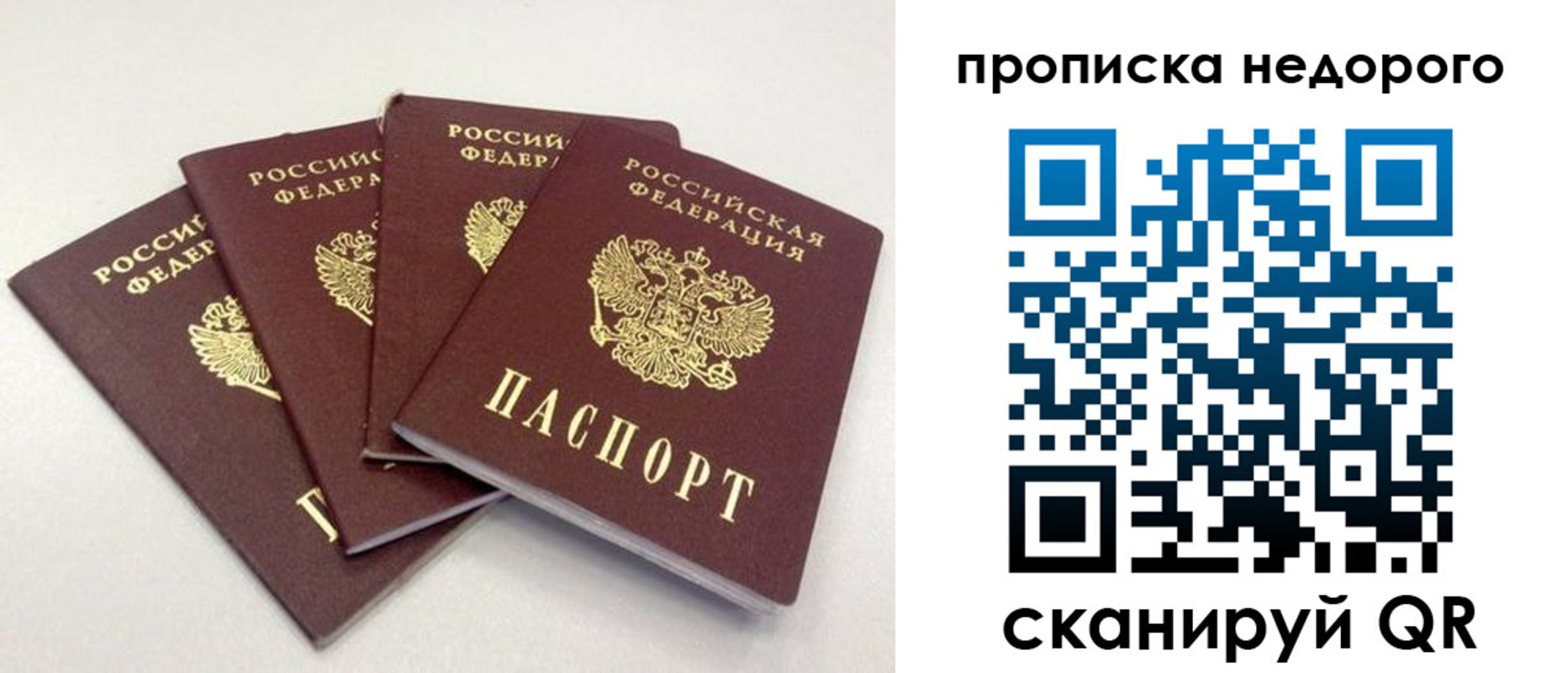 прописка законно в Черняховске